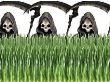 DeFi奇妙物语：有人当农民，有人暴富，有人觉得是骗局