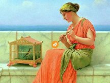 从数据看BTC又到了多头囤积阶段，市场发生了什么？