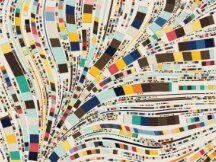 地板价飙升，Visa入局，NFT狂热何时停？