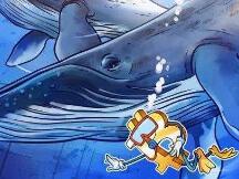 比特币鲸鱼 "逢低买入"，10万美元以上订单创历史新高