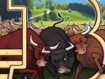 哈希率再创新高，比特币正在恢复牛市势头？