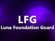 Luna Foundation超越特斯拉，成为比特币第二大企业持有者