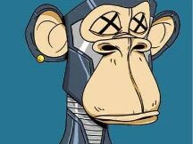 CryptoPunks 为何败给 BAYC？