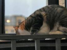 DeFi的老化：资本需要新的刺激