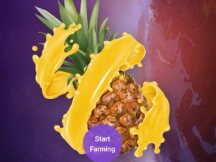 NFT与DeFi的结合体， 迷因币(MEME)的起源