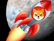 为什么“柴犬币”在过去一周上涨了 200%？