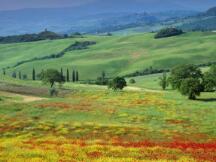 比特币再创新高，Binance进行加密货币交易所的突破