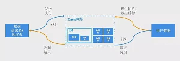 专访 Oasis：Web3 时代下的「隐私」万花筒