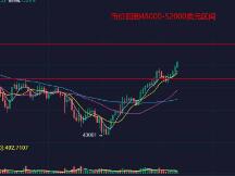 行情日涨近10%，重新回到50000美元