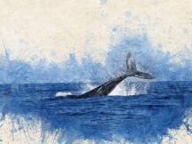 某鲸鱼转入近63万个ETH，Compound锁定价值逼近100亿美元里程碑