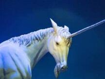 Uniswap疯狂飙涨，DEX锋芒毕露