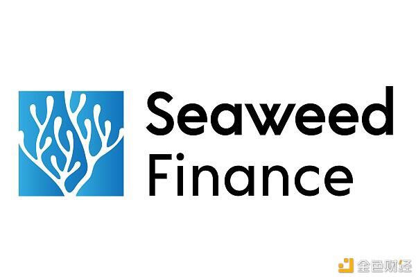 主打去中心化期权市场—为什么Seaweed值得关注？