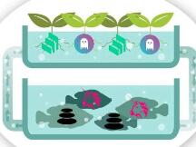 DeFi不可错过的趋势，Compound将如何与Balancer共生