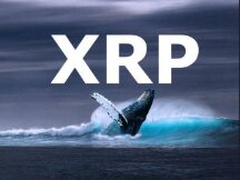 XRP 鲸鱼开始疯狂增持，这会引发价格上涨吗？