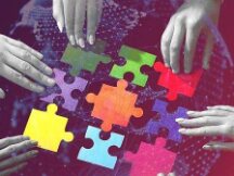 Crypto Parrot：区块链就业趋势有所转变