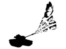 Butterfly战争：Curve战争的新转折