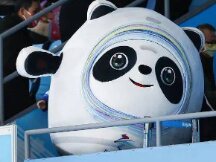 冰墩墩的NFT暴涨千倍？真相则是价格暴跌、成交遇冷