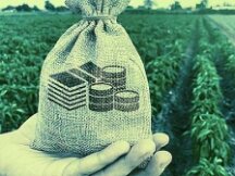 加密行业获风投青睐却有“泡沫”的风险