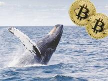 涨疯了的比特币：兴奋了机构，看呆了散户，错愕了监管