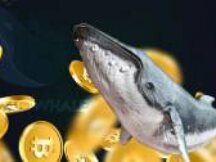 比特币鲸鱼：新玩家购买价值 30 亿美元的 BTC
