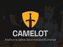Camelot V3 AMM 检测到潜在问题