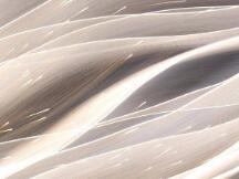 盘点了十几个流动性挖矿项目，我们发现了这些趋势和挑战