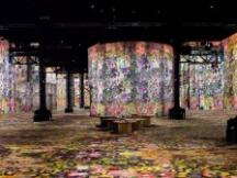 NFT市场交易量倍增 当加密遇上美学的最优解