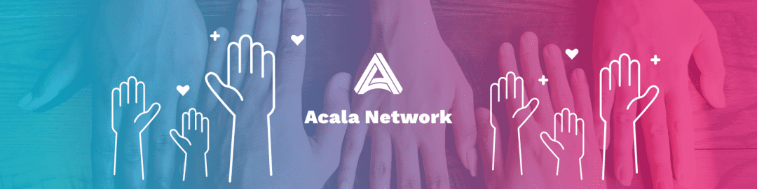 采访实录，倾听来自 Acala 社区志愿者的声音
