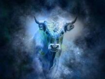 牛回来了？灰度宣布重新营业，加密货币市场大举反弹