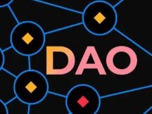 DAO是否应该建立护城河？