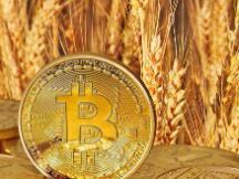 美图豪赌比特币：已购买1亿美元加密货币 相当于全年毛利