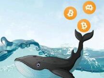 真实数据：比特币新高之前“巨鲸”已开始倾销，抛售超93000枚BTC
