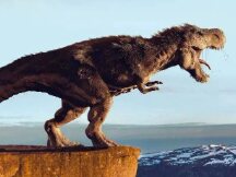 Cradles会引领比Loot更牛的NFT范式革命吗？