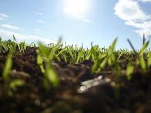 DeFi仅占整个加密市场的1.5%，但它可能刚刚起步