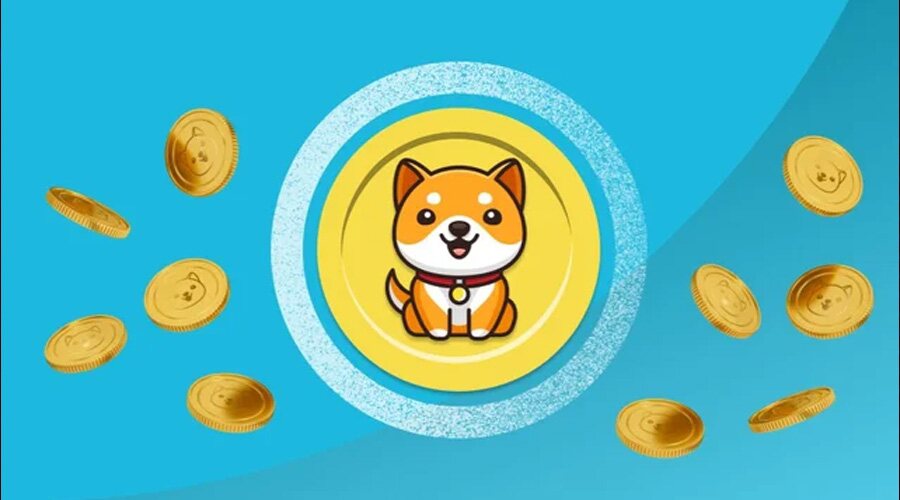 Baby Doge Coin 7天内飙升40%