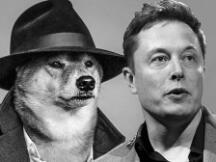 美SEC将就狗狗币相关推文对马斯克进行调查