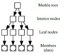 什么是比特币默克尔化抽象语法树？它有什么用？