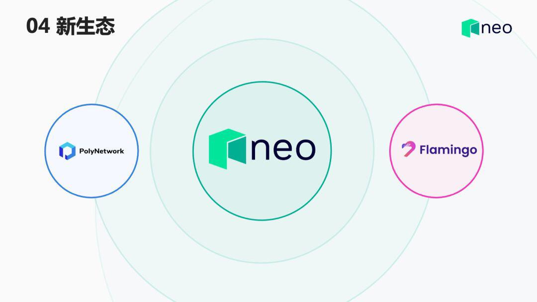 达鸿飞：Neo3务实理想主义者的新开局