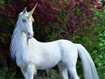 AMM的可扩展性权衡，探索Uniswap的新机会