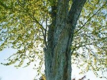 一文读懂DeFi是什么，它的未来只有天空才是它的极限！