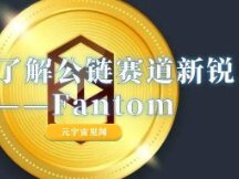 一文了解公链赛道新锐——Fantom