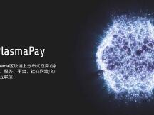 支付类DApp PlasmaPay：让去中心化的普惠金融成为可能