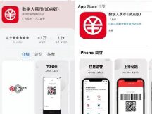 9 questions about the Digital RMB app (pilot version)