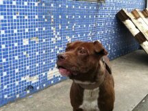 长期持有者开始选择获利了结，比特币能否企稳6万美元