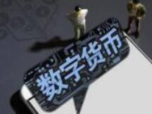 印度前财政部长：一旦官方数字货币问世，大部分私人加密货币和稳定币将消失