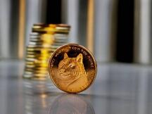 狗狗币51天涨11倍