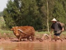 农民的梦想——耕耘DeFi原始借贷