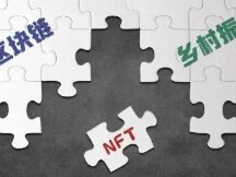 "NVWA" Chen Shihua: Blockchain can support the country, and NFTs can be good media.