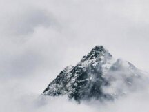 NFT行业如何真实高效回应“处非办”提问？