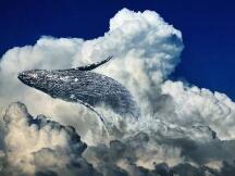 DeFi一直是鲸鱼的专属？前5名地址竟能占总供应量40％以上